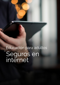 Seguros en internet. Imagen web.